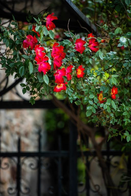 Willa Mulberry House Sithonia Zewnętrze zdjęcie